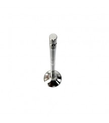Exhaust valve 1556896